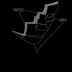 Misarkj - Paradoxe De L'égo