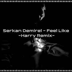 Serkan Demirel - Feel Like (Harry Remix)
