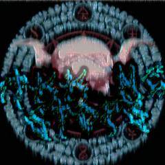 HardtekkNeverStops Intro by LuNT3zZ ///150BPM\\\