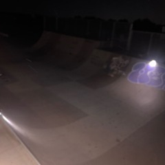 What the shr00ms have told me