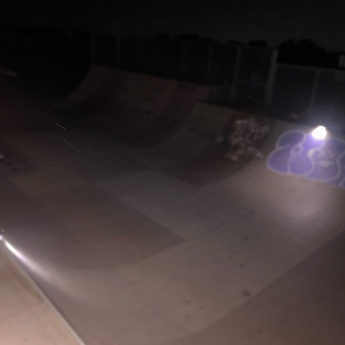 What the shr00ms have told me