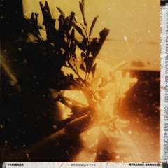Strange Gardens & stillvanishing - dreamlifter