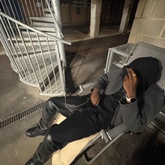 udigg2