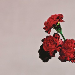 John Legend feat. Rick Ross - Who Do We Think We Are (Album Version)