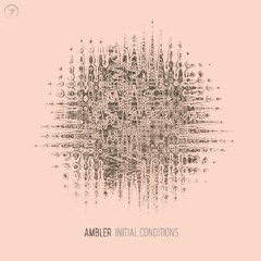 Ambler + Medjula - Madness In The Method