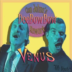 Venus - Bananarama (Con Johna's DeeBowBow Rework)