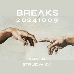 Breaks 20241009