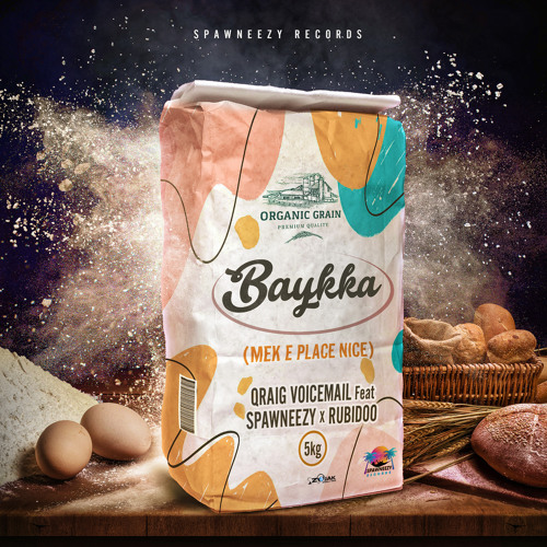 Baykka (Mek E Place Nice)