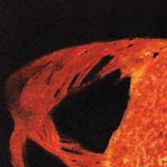 The SUN
