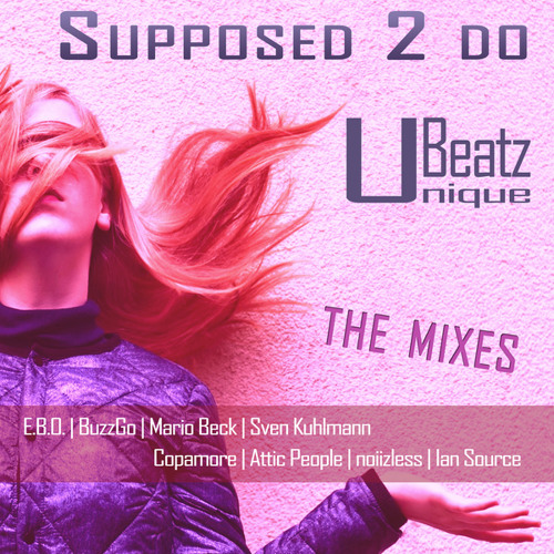 Supposed 2 Do (The Mixes)