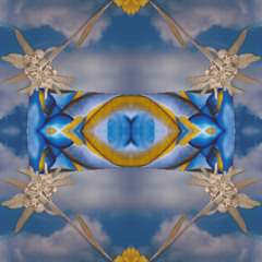 electric orchestra