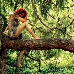 The Duck Song (outside live rec)