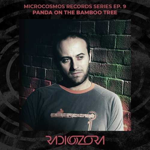 Panda On The Bamboo Tree | Microcosmos Records Series Ep. 9 | 12/07/2022