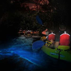 Review Special Price Bioluminescent Glowing Bay Kayaking Adventure In Puerto Rico