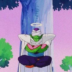 piccolo/first song off fl ($hea0nit)