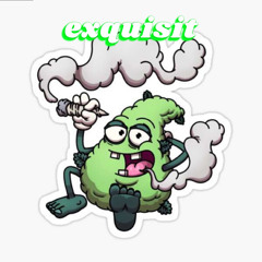 exquisit - t racks, flizz
