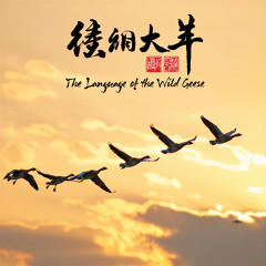 The Language of the Wild Geese Version 1 鸿雁之语