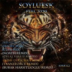 Soyluesk - Feel (Noath Remix)