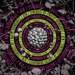 PREIMIERE: ATM - Dub Break (Native Boundaries)
