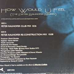 How Would You Feel (Peter Rauhofer Reconstruction Mix)