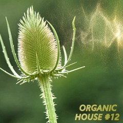Organic House Vol.12 - Zizzi Selection