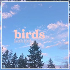 birds (remix Streets -- Doja Cat)