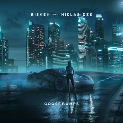 Bisken & Niklas Dee - goosebumps