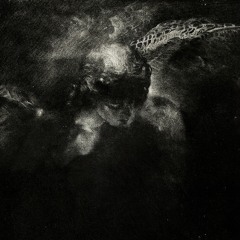 NICODXMVS - MMXXV - Shared Frequencies Radio - MIX - ARCHIVE