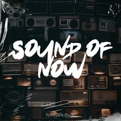 Lo - Fi Music Rudolph, TikTok Guy, Jerry Of Everything - Sound Of Now