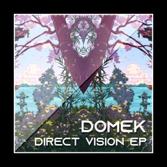 Domek - Direct Vision
