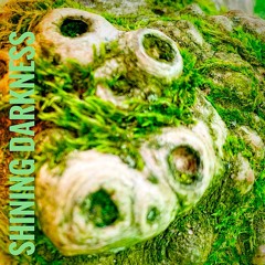 shining darkness by have.one - vinyl only