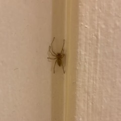 👎👎 klips * cwta r1400 felix cm kita souljatap nineslay tarja lagsight