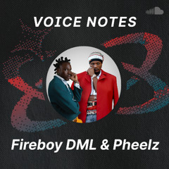 Voice Notes: Fireboy DML & Pheelz on "Young Again"