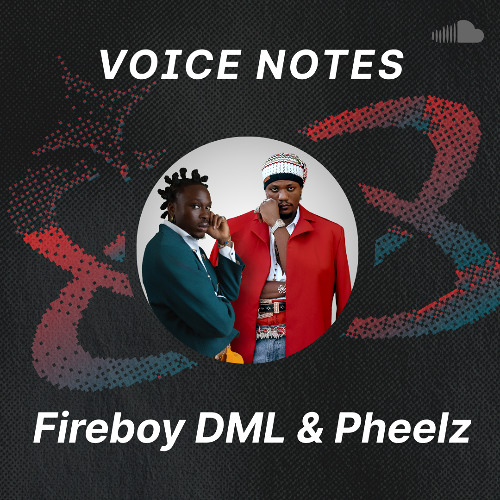 Voice Notes: Fireboy DML & Pheelz on "Shake"