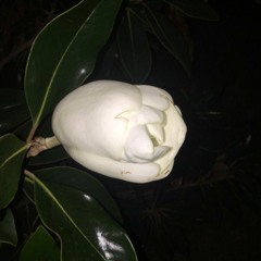 EQUINOXX DJ MIX 9/23/23