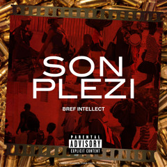 Son Plezi_ Bref Intellect