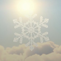 snow-flakes-life-is-short,--but-easy-(-house-)