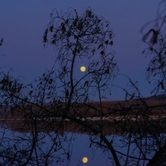 Langdon Alger / Crywank - Choo-Choo-Choose Me