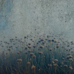 by evening we may fall in love