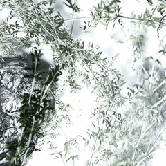 These Are The Words - Cool Stagnation Remix