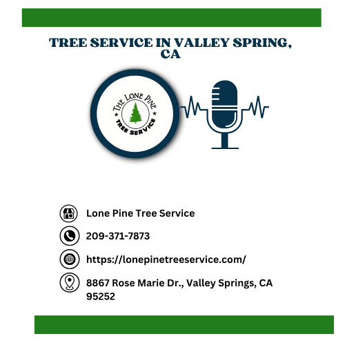 best-time-of-year-to-trim-or-remove-trees-in-valley-springs-ca