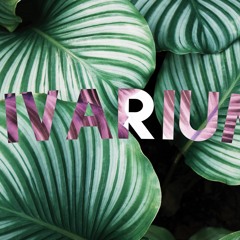 Vivarium