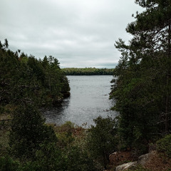 Bancroft