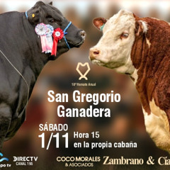 Federico Fernández - Remate San Gregorio