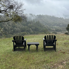 Settling into Spaciousness (Integration)