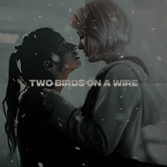 two birds on a wire
