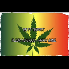 ES ft Tea987 - Fleur Magique - Mary Jane.mp3