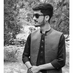 Eh munde pagal ne saare_|_Gallan_waddia_vadde_laare_|_NSANE_-_AP_DHILLO❤