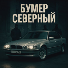 TovarLT - бумер Северный