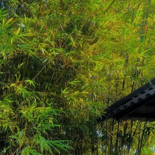Từ Cửu Môn Hồi Ức - Đẳng Thập Ma Quân